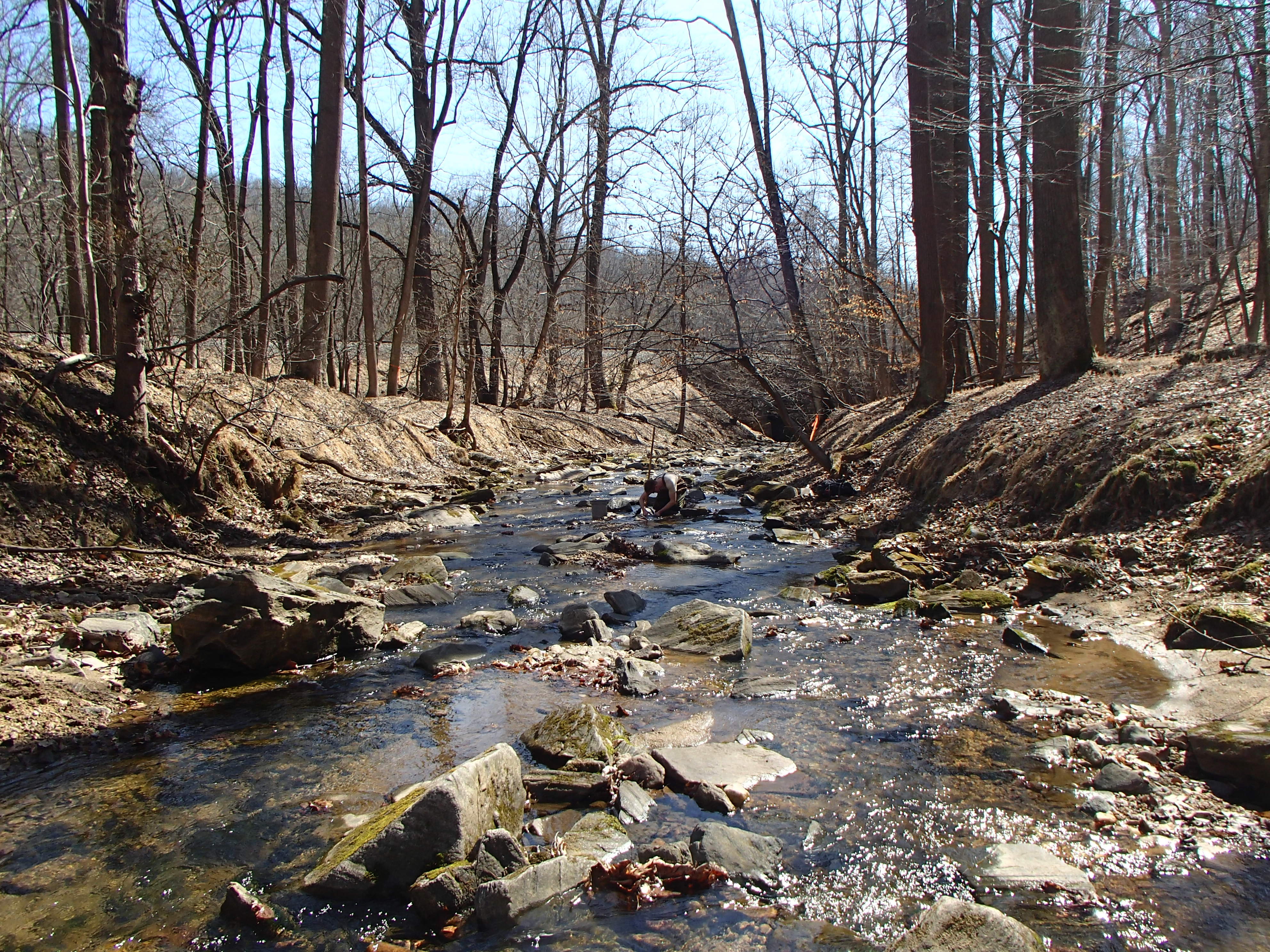 Field photo showing stream conditions at site PATL-112-X-2016_midpoint looking downstream